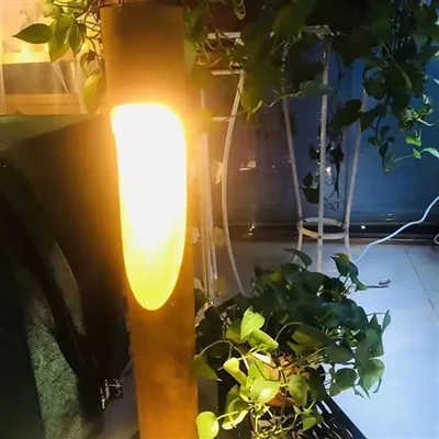Antieke lichtbak